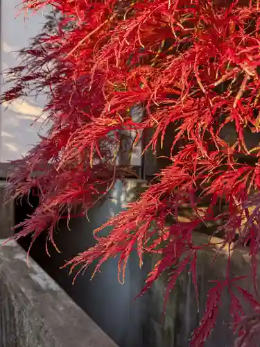 成願寺(東京都)
