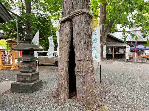 札幌諏訪神社の自然