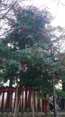 花園神社(東京都)