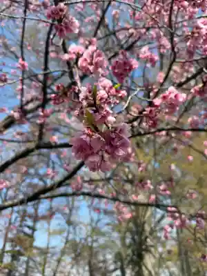 密藏院の{uncategorized: "未分類", other: "その他", undefined: "問題あり", building: "その他建物", grave: "お墓", sacred_gate: "鳥居", guardian: "狛犬", statue: "像", buddha: "仏像", history: "歴史", nature: "自然", garden: "庭園", animal: "動物", pagoda: "塔", temizu: "手水舎", mountain_gate: "山門・神門", sanctuary: "本殿・本堂", subordinate: "末社・摂社", art: "芸術", scenery: "景色", jizo: "地蔵", ema: "絵馬", goshuin: "御朱印", omikuji: "おみくじ", items: "授与品その他", amulet: "お守り", goshuincho: "御朱印帳", eats: "食事", festival: "お祭り", votive_dance: "神楽", shichigosan: "七五三参", wedding: "結婚式", experience: "体験その他", initially: "初詣", around: "周辺", anti_infection: "感染症対策"}
