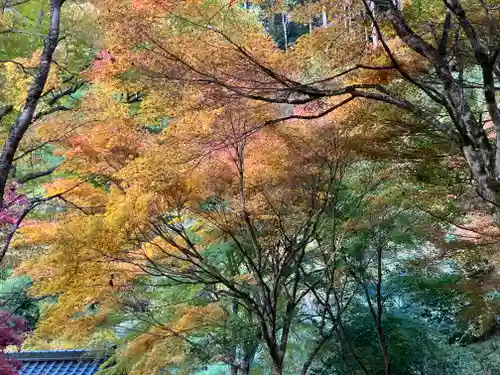 常瀧寺(兵庫県)