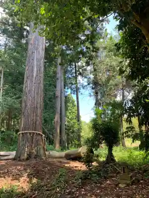 妙見神社(千葉県)