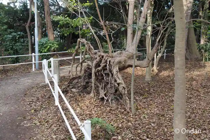 泉穴師神社(大阪府)