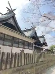 住吉神社の本殿