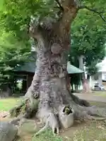 大嶋神社(長野県)