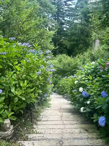 鷲子山上神社(栃木県)