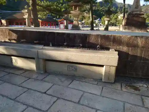 厳島神社の手水舎