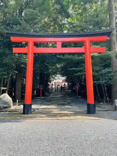 霧島神宮(鹿児島県)