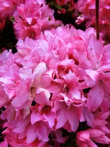 神足寺(東京都)