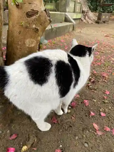 鎌数伊勢大神宮の{uncategorized: "未分類", other: "その他", undefined: "問題あり", building: "その他建物", grave: "お墓", sacred_gate: "鳥居", guardian: "狛犬", statue: "像", buddha: "仏像", history: "歴史", nature: "自然", garden: "庭園", animal: "動物", pagoda: "塔", temizu: "手水舎", mountain_gate: "山門・神門", sanctuary: "本殿・本堂", subordinate: "末社・摂社", art: "芸術", scenery: "景色", jizo: "地蔵", ema: "絵馬", goshuin: "御朱印", omikuji: "おみくじ", items: "授与品その他", amulet: "お守り", goshuincho: "御朱印帳", eats: "食事", festival: "お祭り", votive_dance: "神楽", shichigosan: "七五三参", wedding: "結婚式", experience: "体験その他", initially: "初詣", around: "周辺", anti_infection: "感染症対策"}