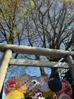 札幌諏訪神社の鳥居