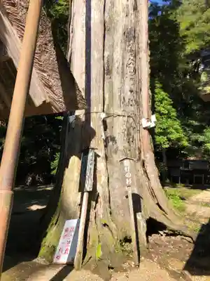 元伊勢内宮 皇大神社のその他建物