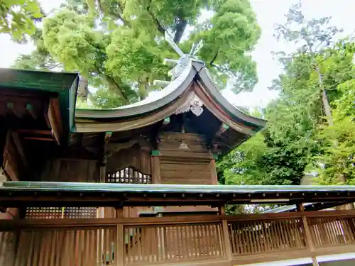 鳩ヶ谷氷川神社の本殿