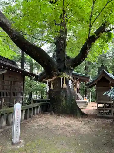 穂高神社本宮の自然
