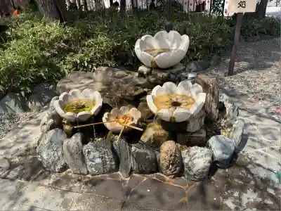 櫻木神社(千葉県)