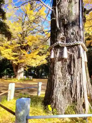 赤坂氷川神社(東京都)