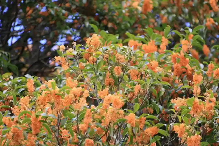 鹿島大神宮の庭園