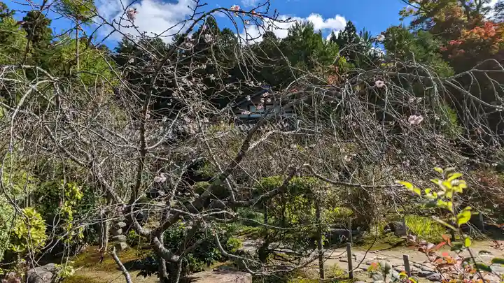 実光院(京都府)