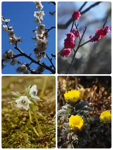 浄妙寺(神奈川県)