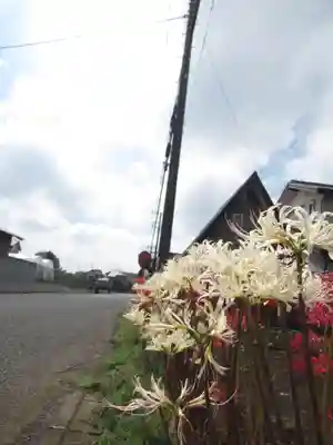 真光寺(千葉県)