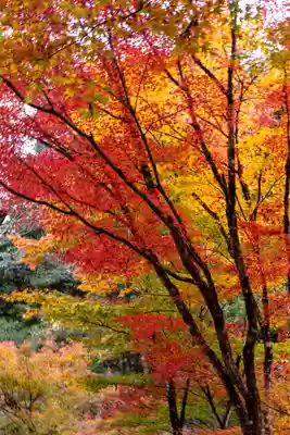 大矢田神社(岐阜県)