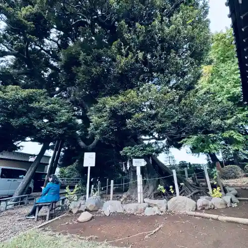 九重神社(埼玉県)