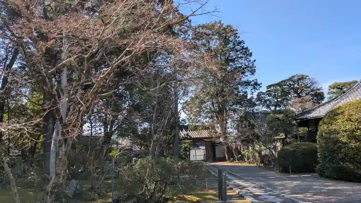 法界寺(日野薬師)(京都府)