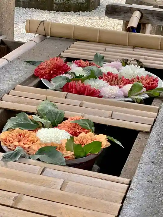 上野東照宮の御朱印