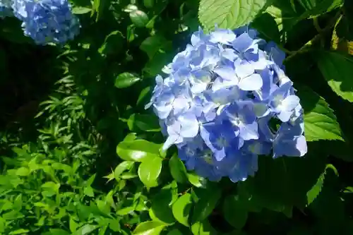 放生院常光寺の自然