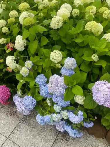 太光寺　の自然