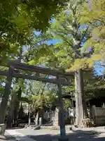 亀岡八幡宮(亀岡八幡神社)(神奈川県)