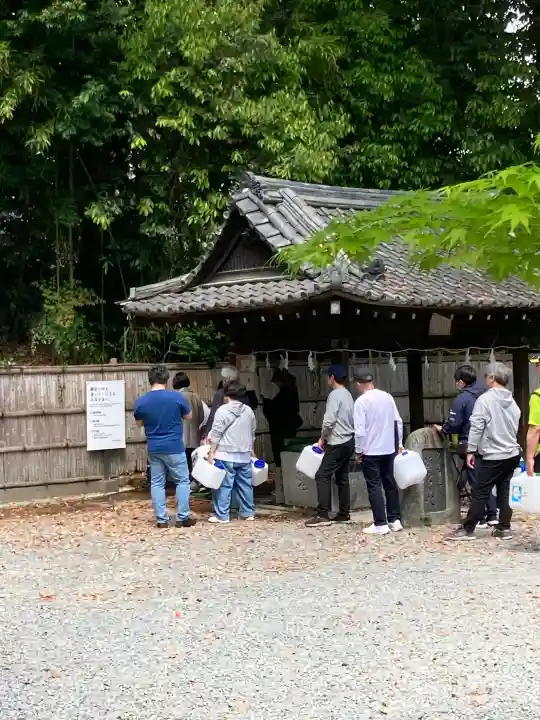 水無瀬神宮の{uncategorized: "未分類", other: "その他", undefined: "問題あり", building: "その他建物", grave: "お墓", sacred_gate: "鳥居", guardian: "狛犬", statue: "像", buddha: "仏像", history: "歴史", nature: "自然", garden: "庭園", animal: "動物", pagoda: "塔", temizu: "手水舎", mountain_gate: "山門・神門", sanctuary: "本殿・本堂", subordinate: "末社・摂社", art: "芸術", scenery: "景色", jizo: "地蔵", ema: "絵馬", goshuin: "御朱印", omikuji: "おみくじ", items: "授与品その他", amulet: "お守り", goshuincho: "御朱印帳", eats: "食事", festival: "お祭り", votive_dance: "神楽", shichigosan: "七五三参", wedding: "結婚式", experience: "体験その他", initially: "初詣", around: "周辺", anti_infection: "感染症対策"}