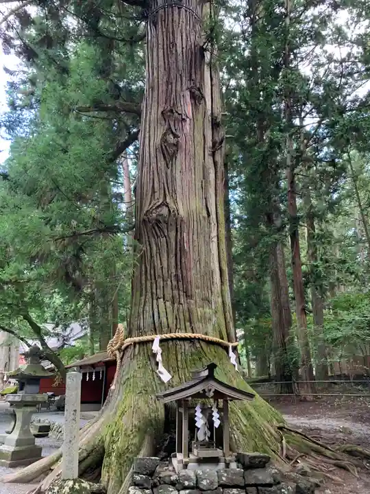 北口本宮冨士浅間神社のその他建物