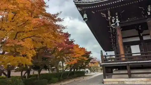 妙顯寺（妙顕寺）(京都府)
