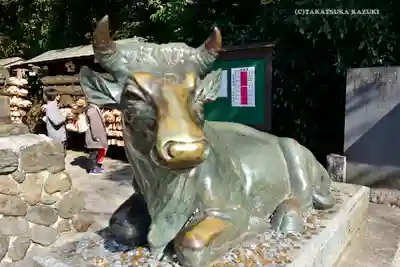 谷保天満宮の狛犬