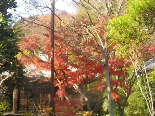 浄光明寺の景色