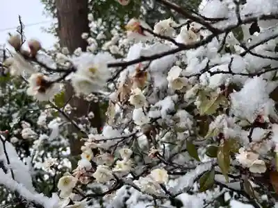 鏡石鹿嶋神社 ＊安産・開運・勝利の神さま＊(福島県)