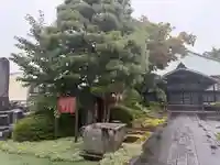 大泉寺(岩手県)