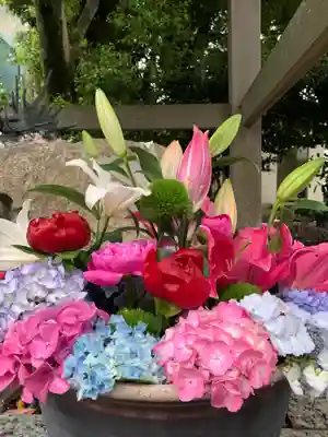 彌都加伎神社の手水舎