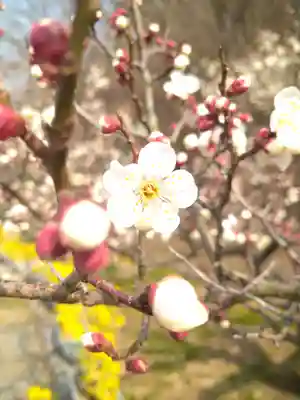神前神社の自然
