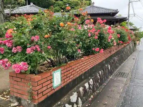 艫神社(茨城県)