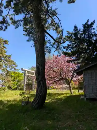 山上大神宮の{uncategorized: "未分類", other: "その他", undefined: "問題あり", building: "その他建物", grave: "お墓", sacred_gate: "鳥居", guardian: "狛犬", statue: "像", buddha: "仏像", history: "歴史", nature: "自然", garden: "庭園", animal: "動物", pagoda: "塔", temizu: "手水舎", mountain_gate: "山門・神門", sanctuary: "本殿・本堂", subordinate: "末社・摂社", art: "芸術", scenery: "景色", jizo: "地蔵", ema: "絵馬", goshuin: "御朱印", omikuji: "おみくじ", items: "授与品その他", amulet: "お守り", goshuincho: "御朱印帳", eats: "食事", festival: "お祭り", votive_dance: "神楽", shichigosan: "七五三参", wedding: "結婚式", experience: "体験その他", initially: "初詣", around: "周辺", anti_infection: "感染症対策"}
