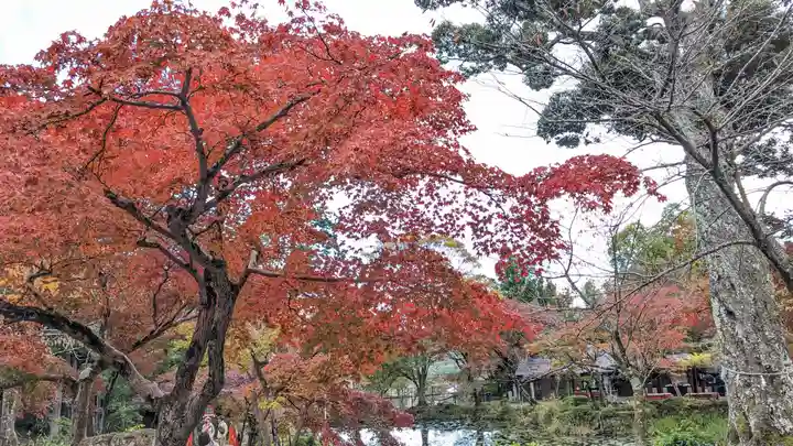 大原野神社(京都府)