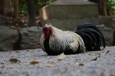 熱田神宮(愛知県)