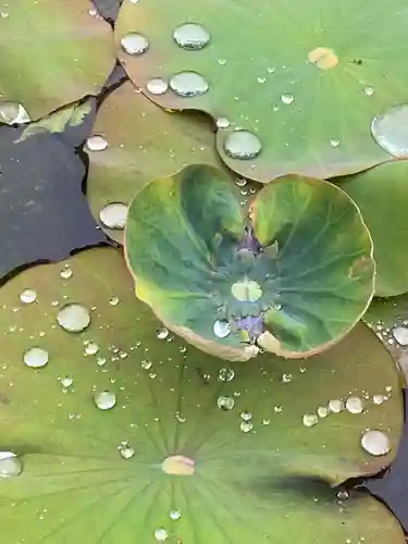 潮音寺(愛知県)