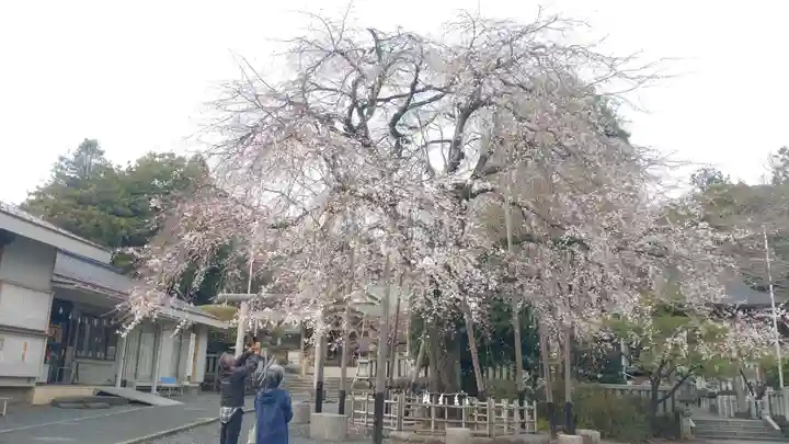 新町御嶽神社(東京都)