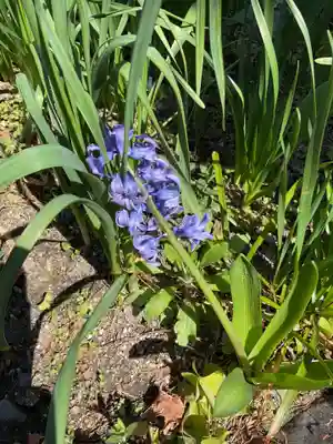 三輪神社(愛知県)