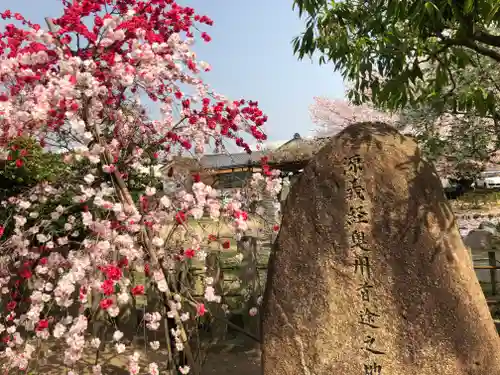 首途八幡宮の自然