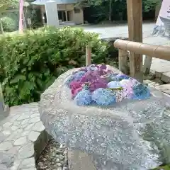 櫻井神社(福岡県)