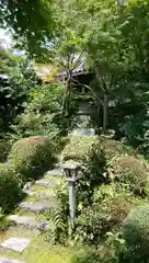 善法律寺の本殿